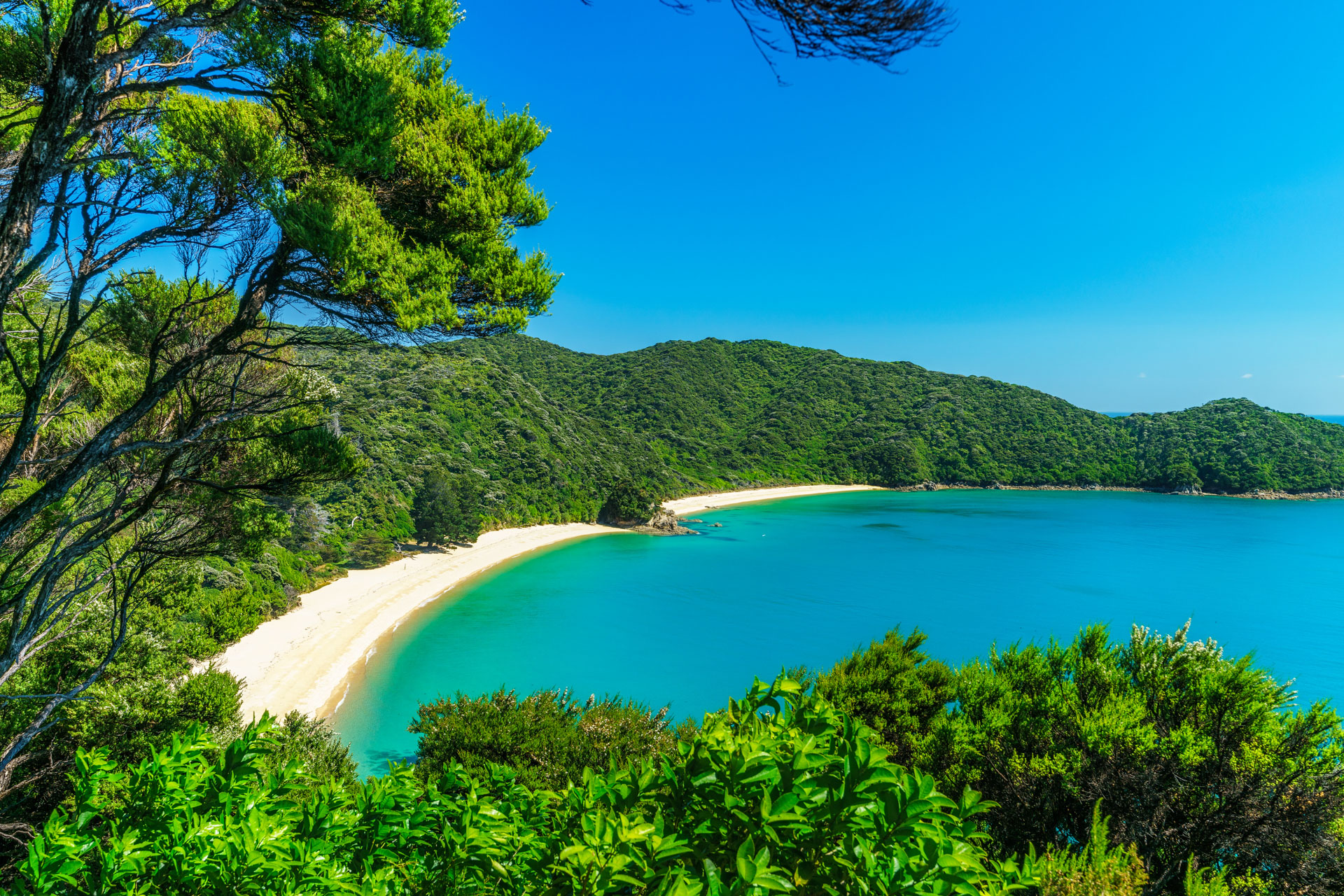 Abel Tasman
