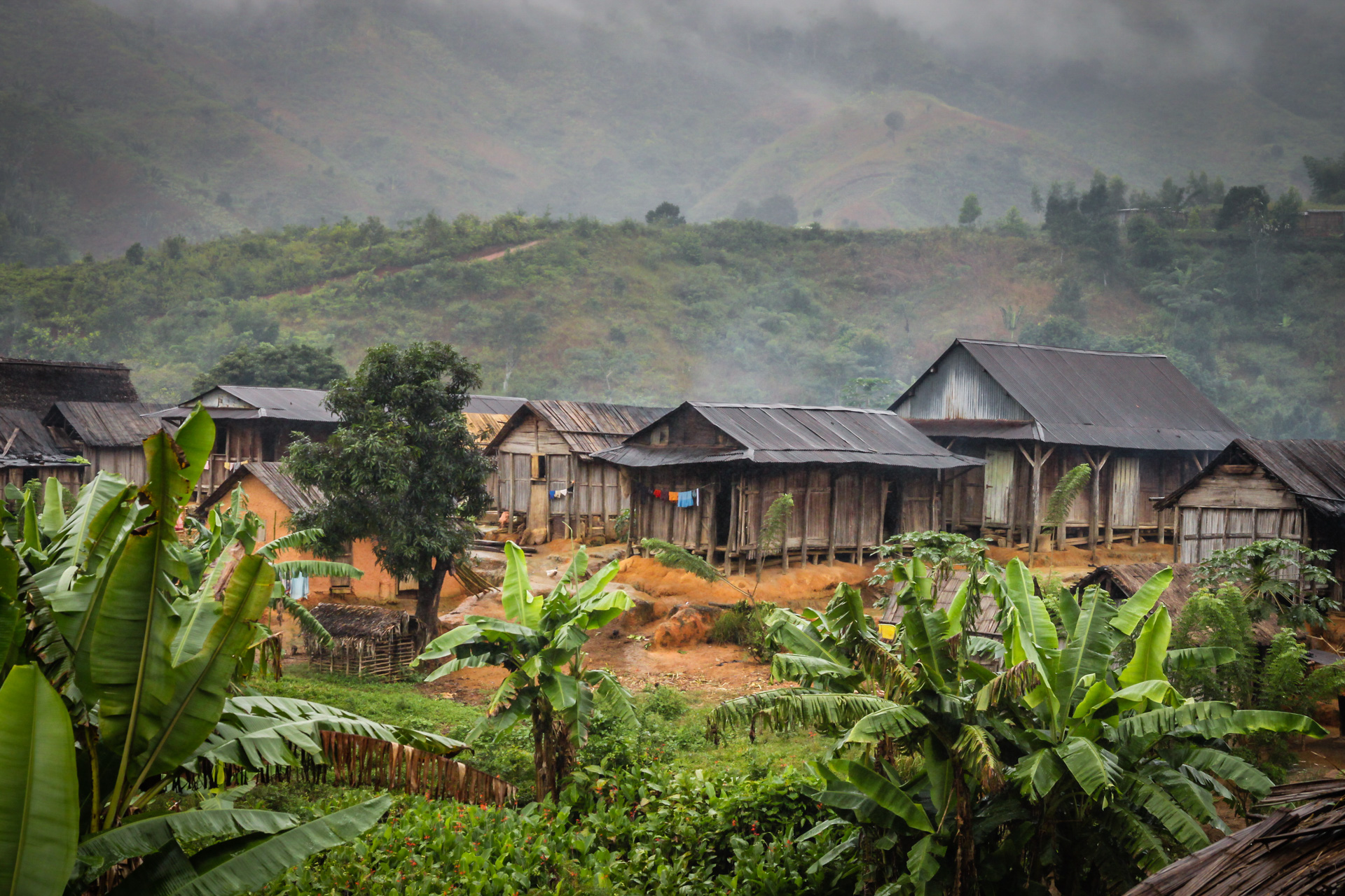 Tropical Forest Local Village 