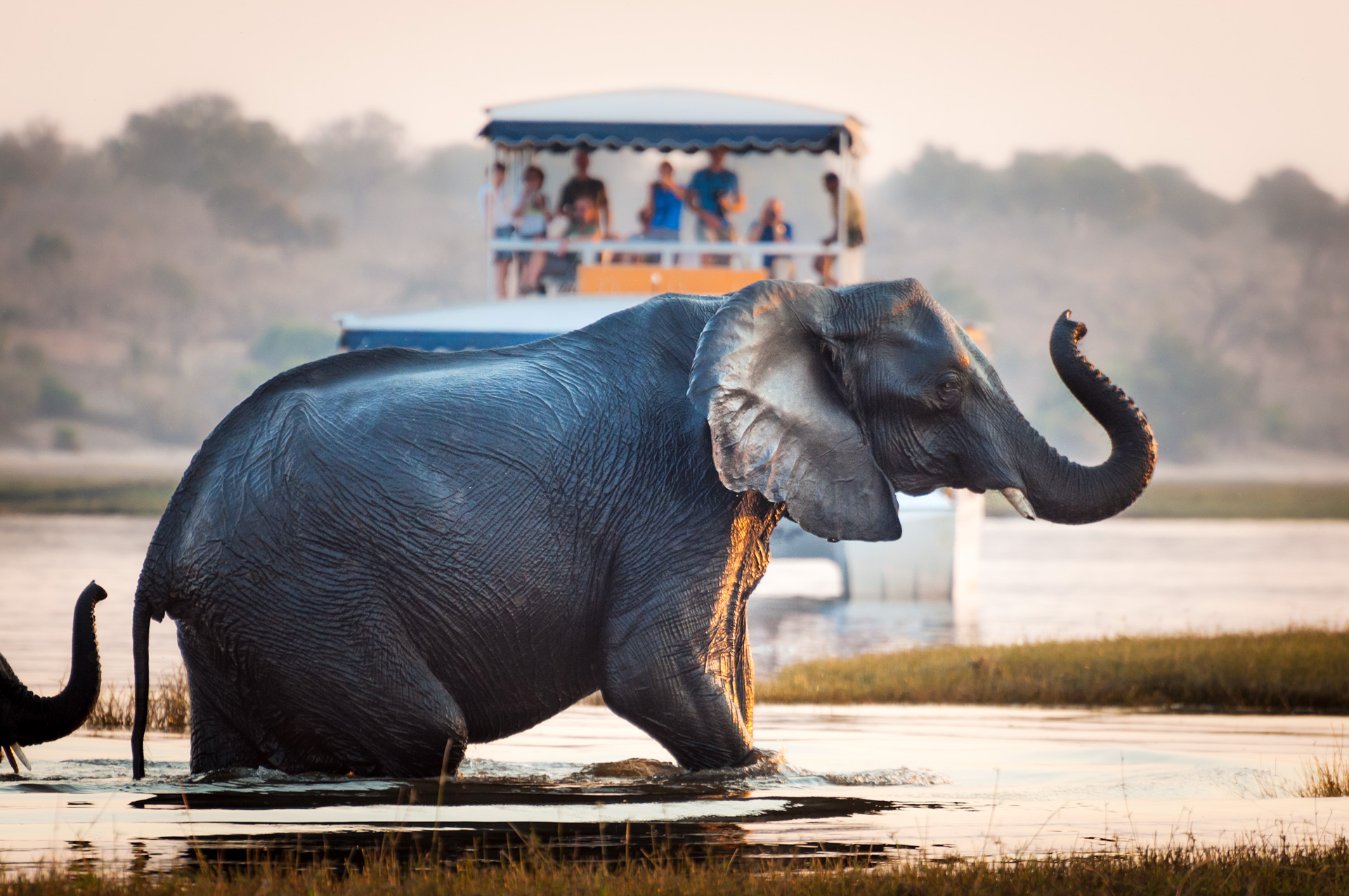 Cruise - Okavango Delta