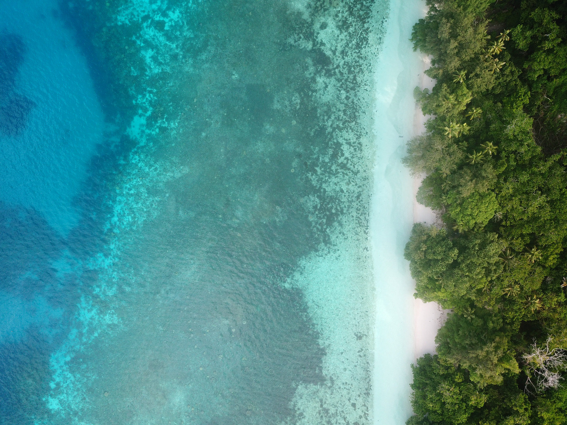 Peleliu Island
