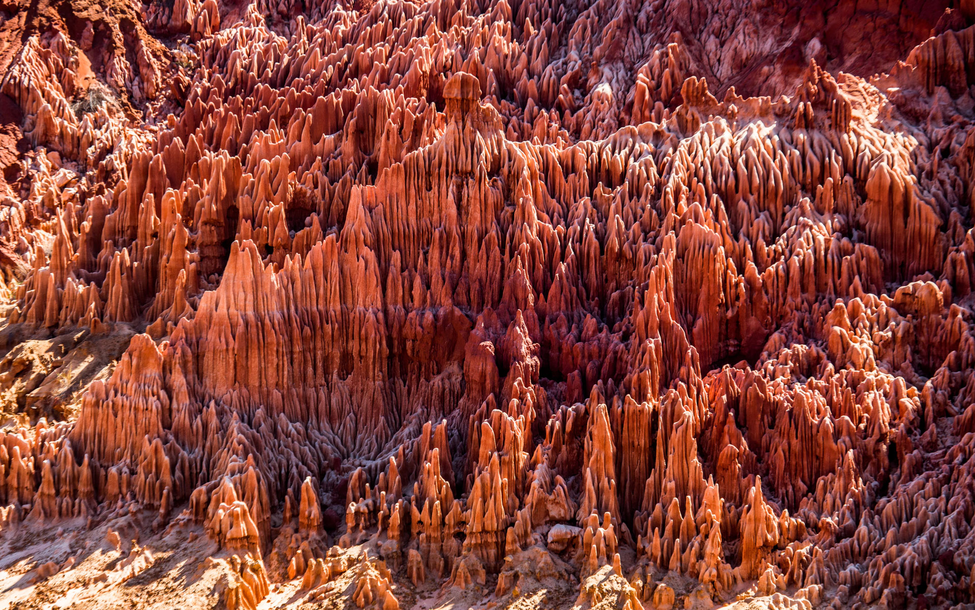 Sadjoavat - Red Tsingy 