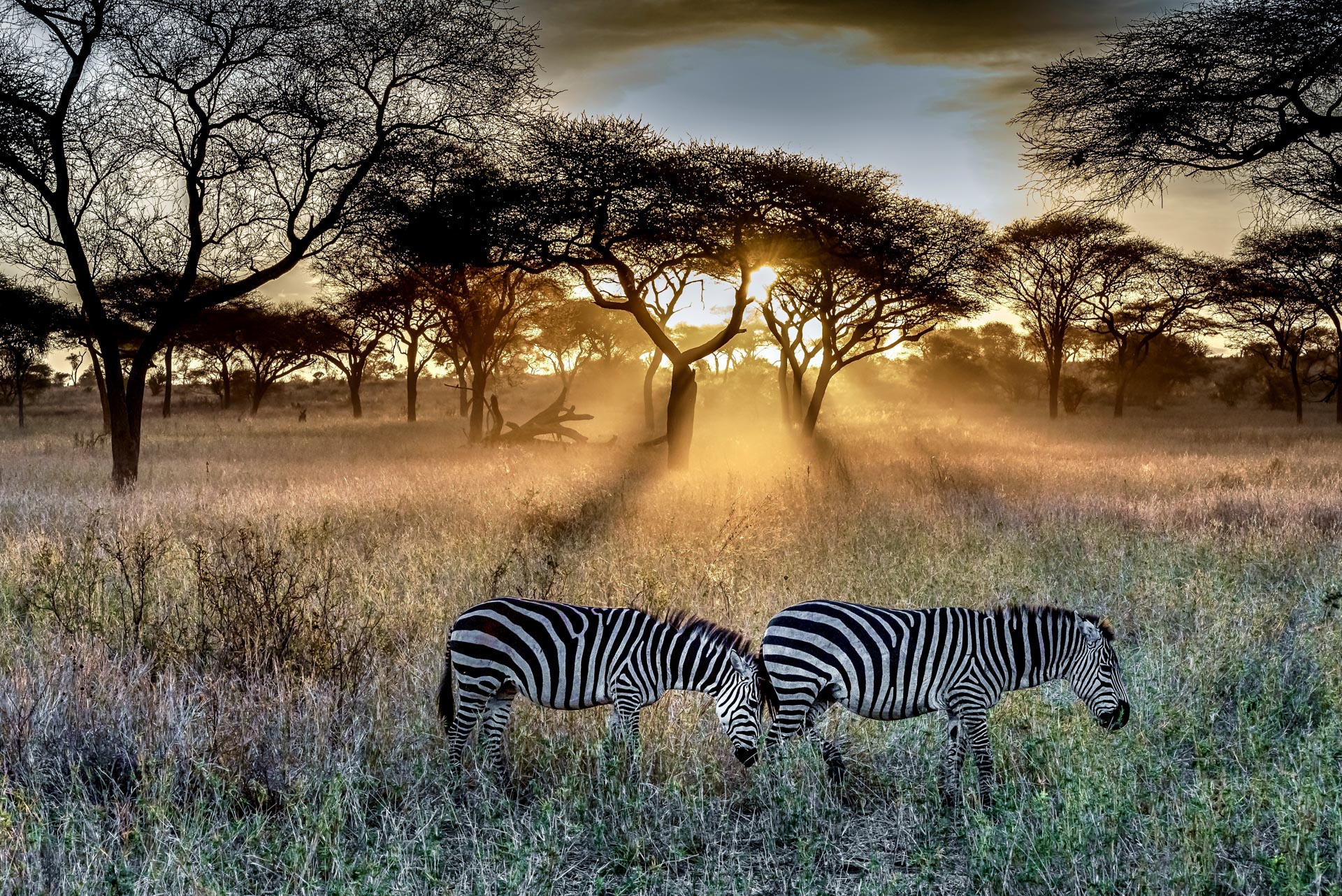 South Africa