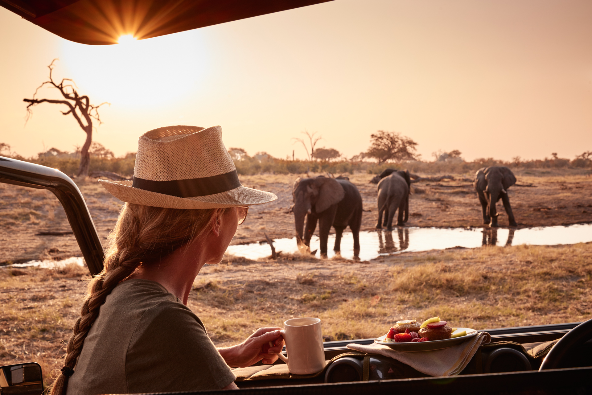 Safaris