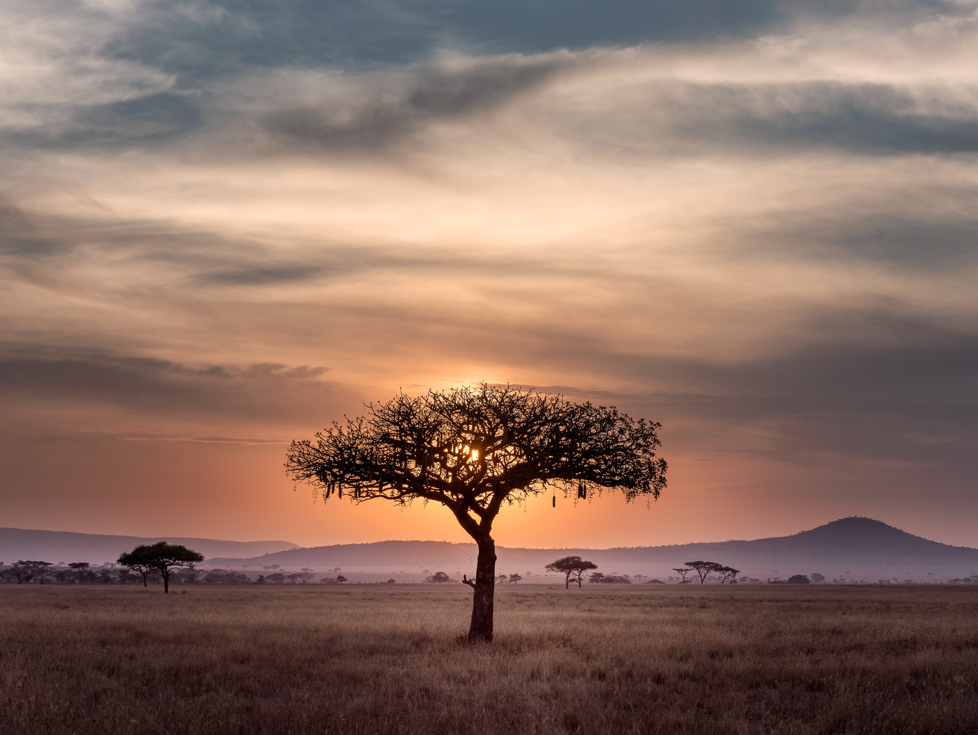 Tanzania & Zanzibar