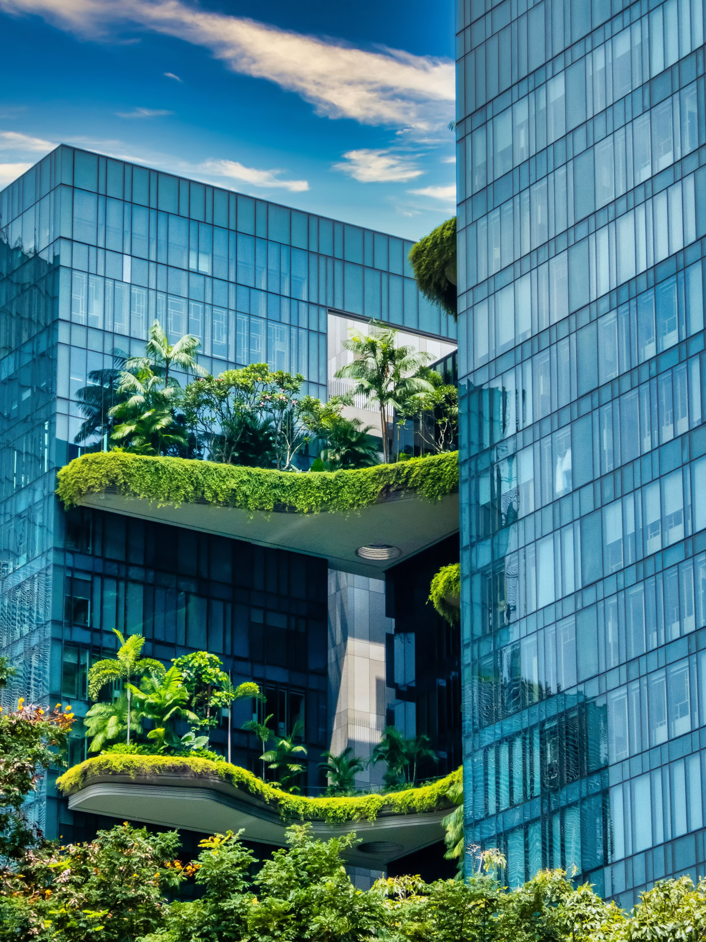 Arquitectura e natureza