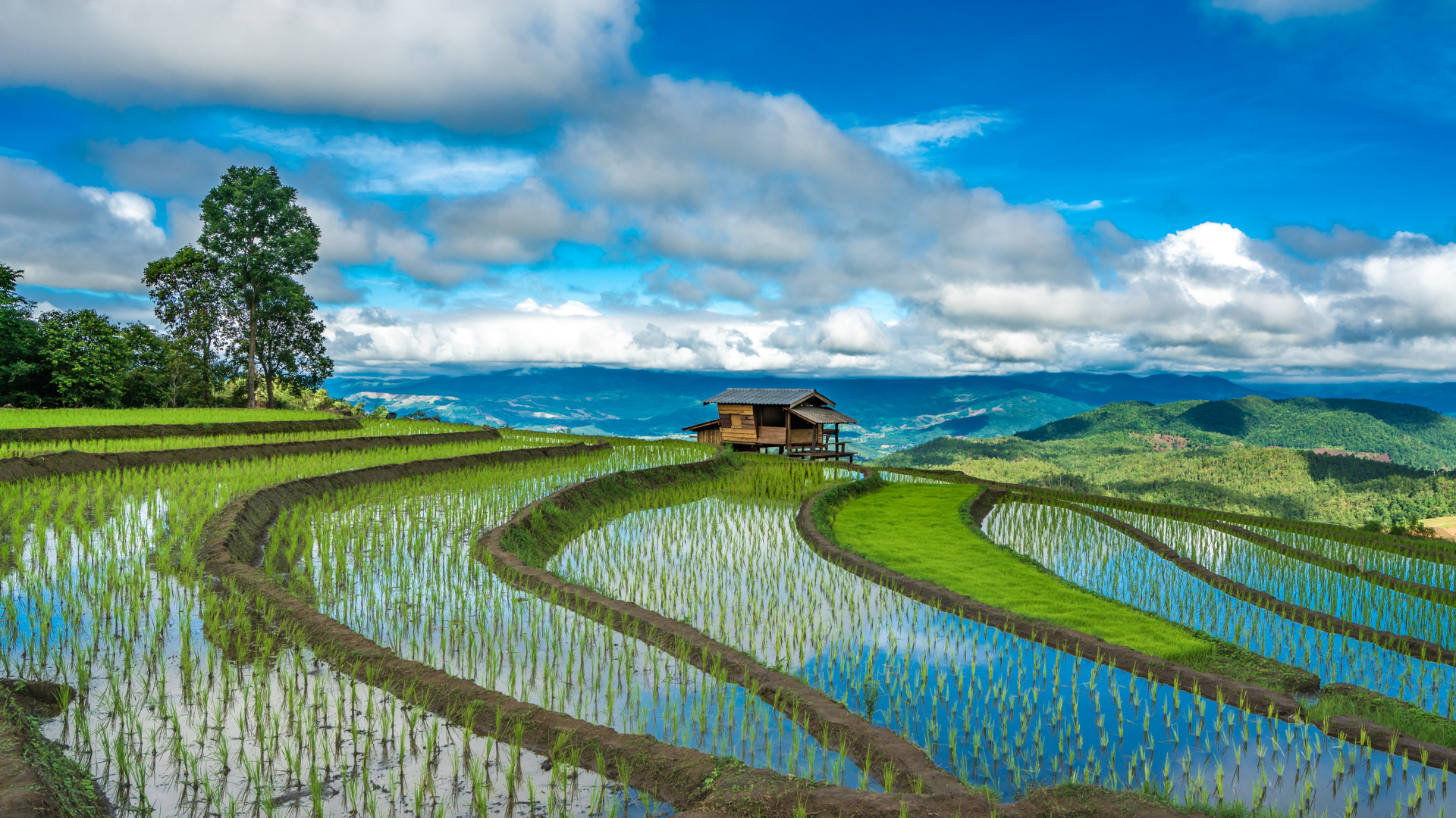 Banaue - Campos de Arroz