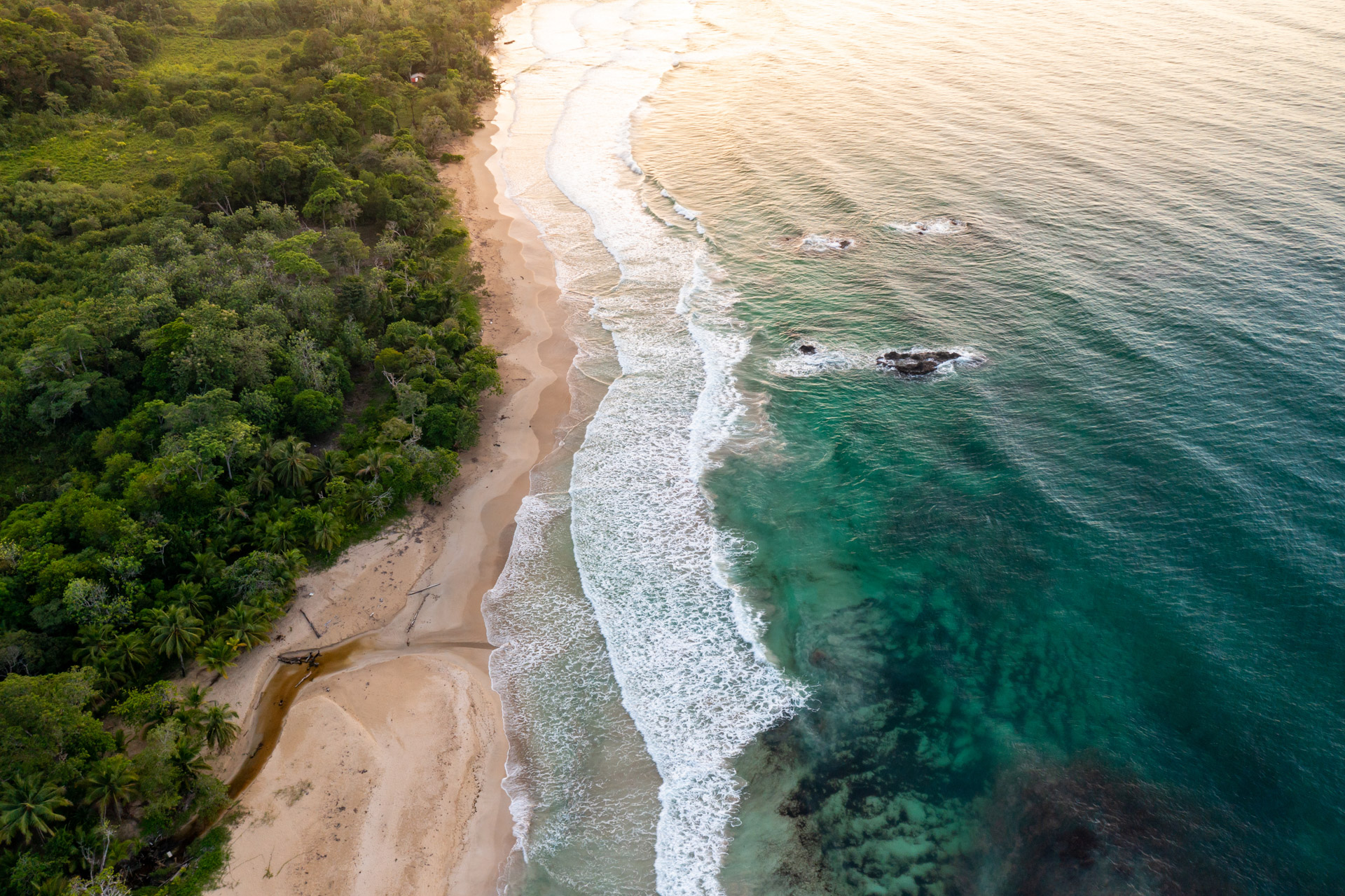 Bocas del Toro - Red Frog Beach
