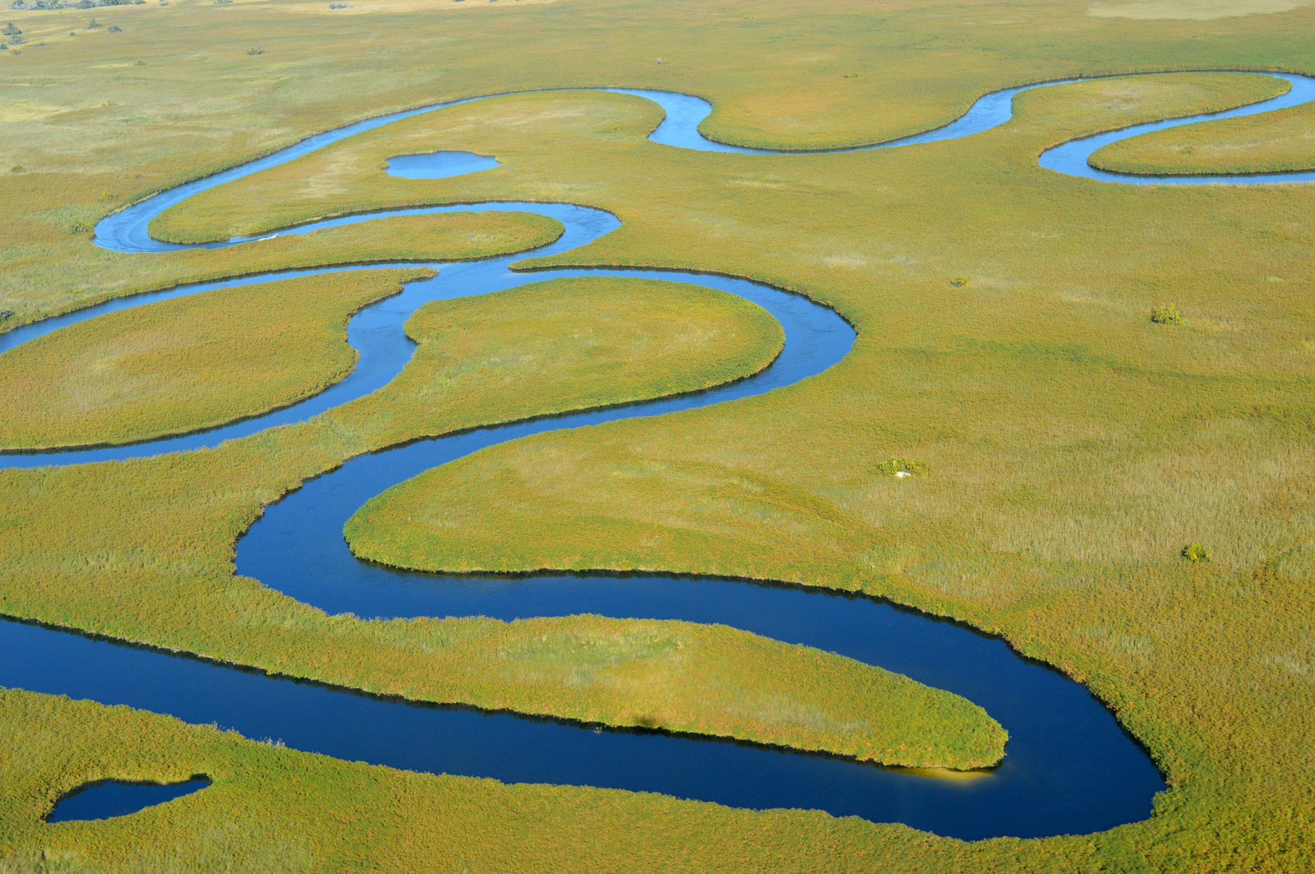 Delta do Okavango