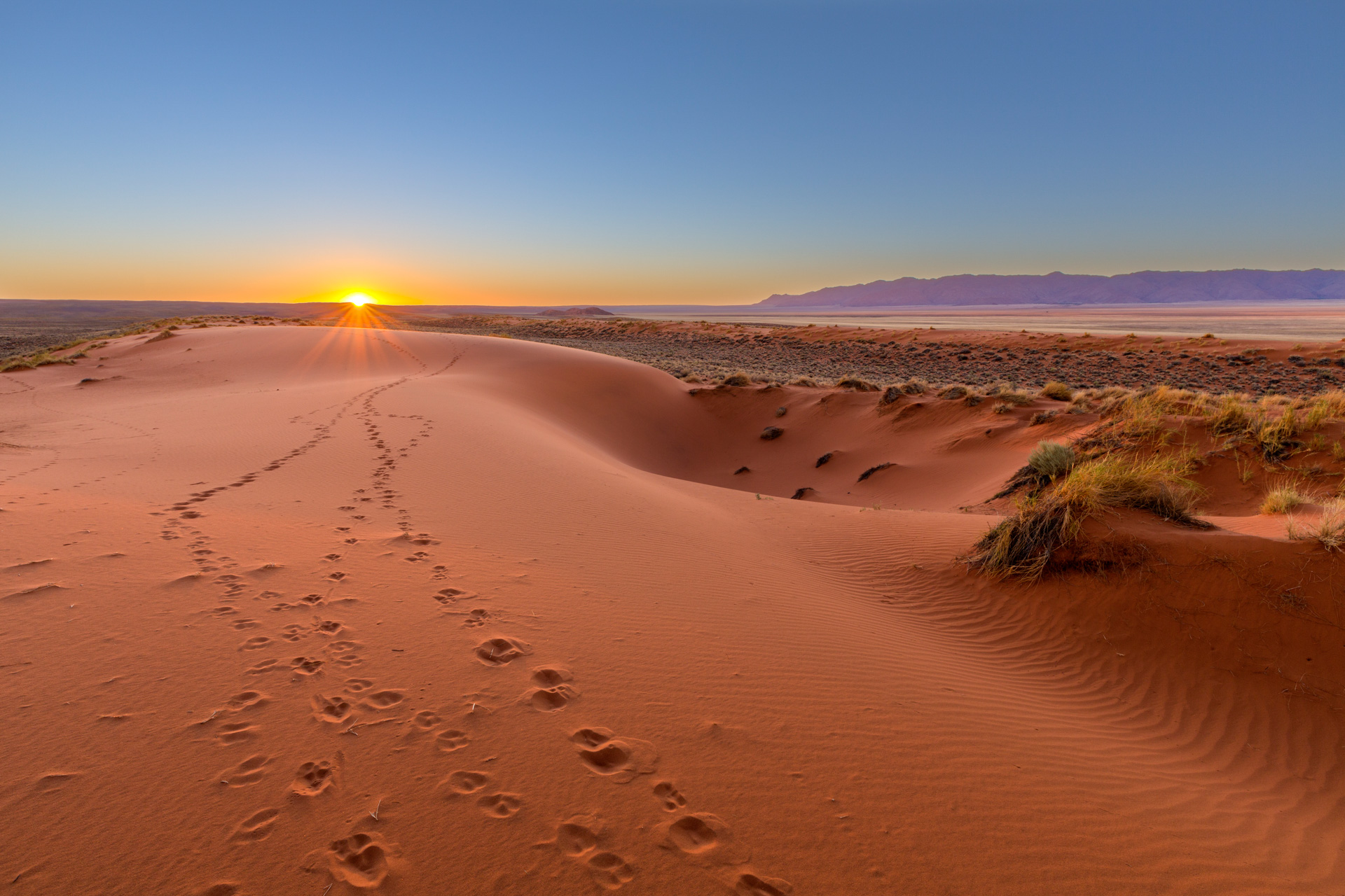 Deserto de Kalahari