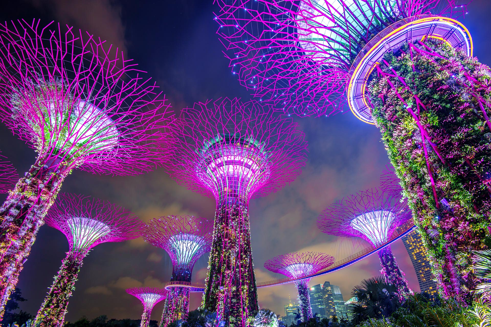 Garden by the Bay
