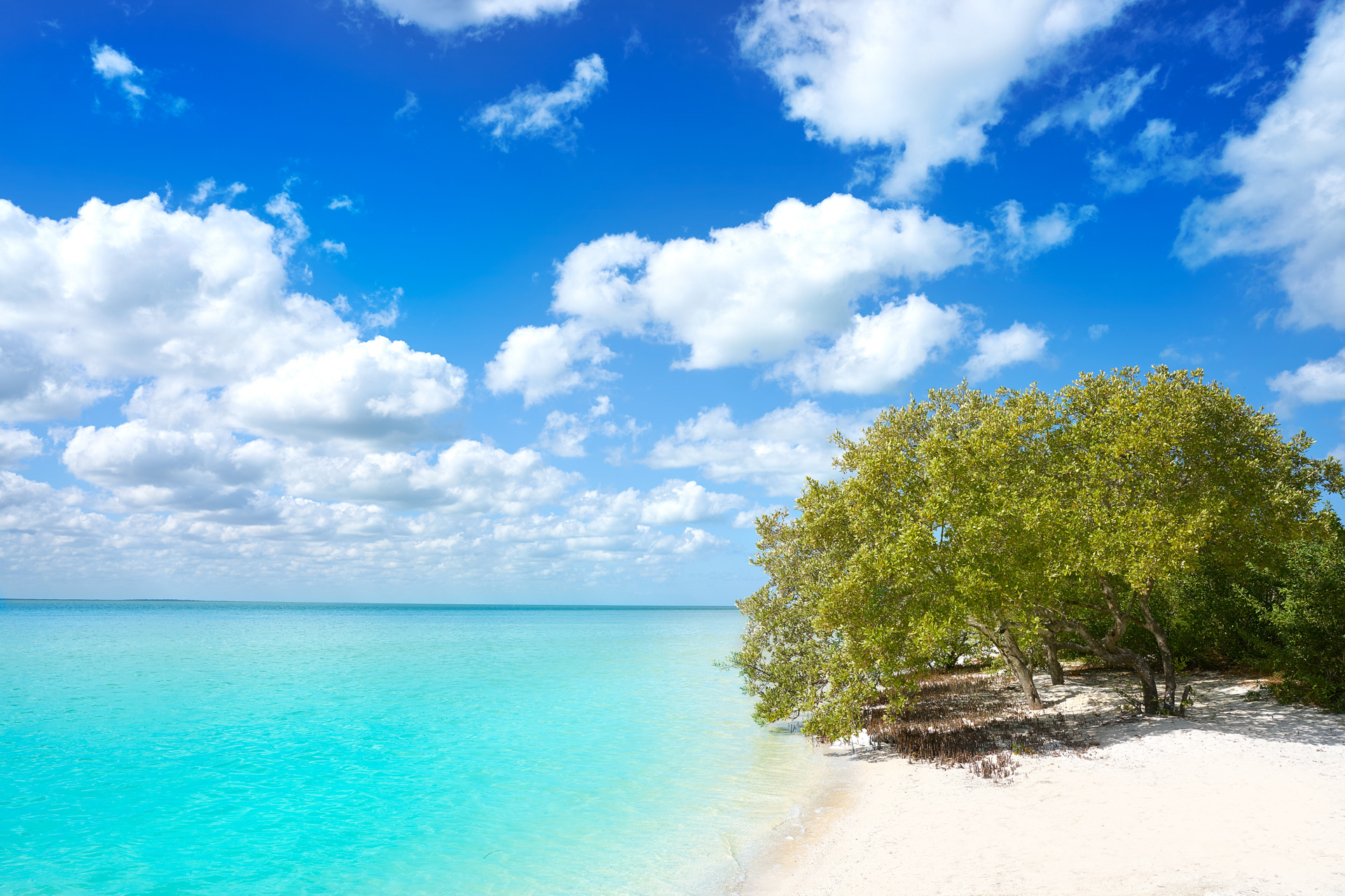 Holbox