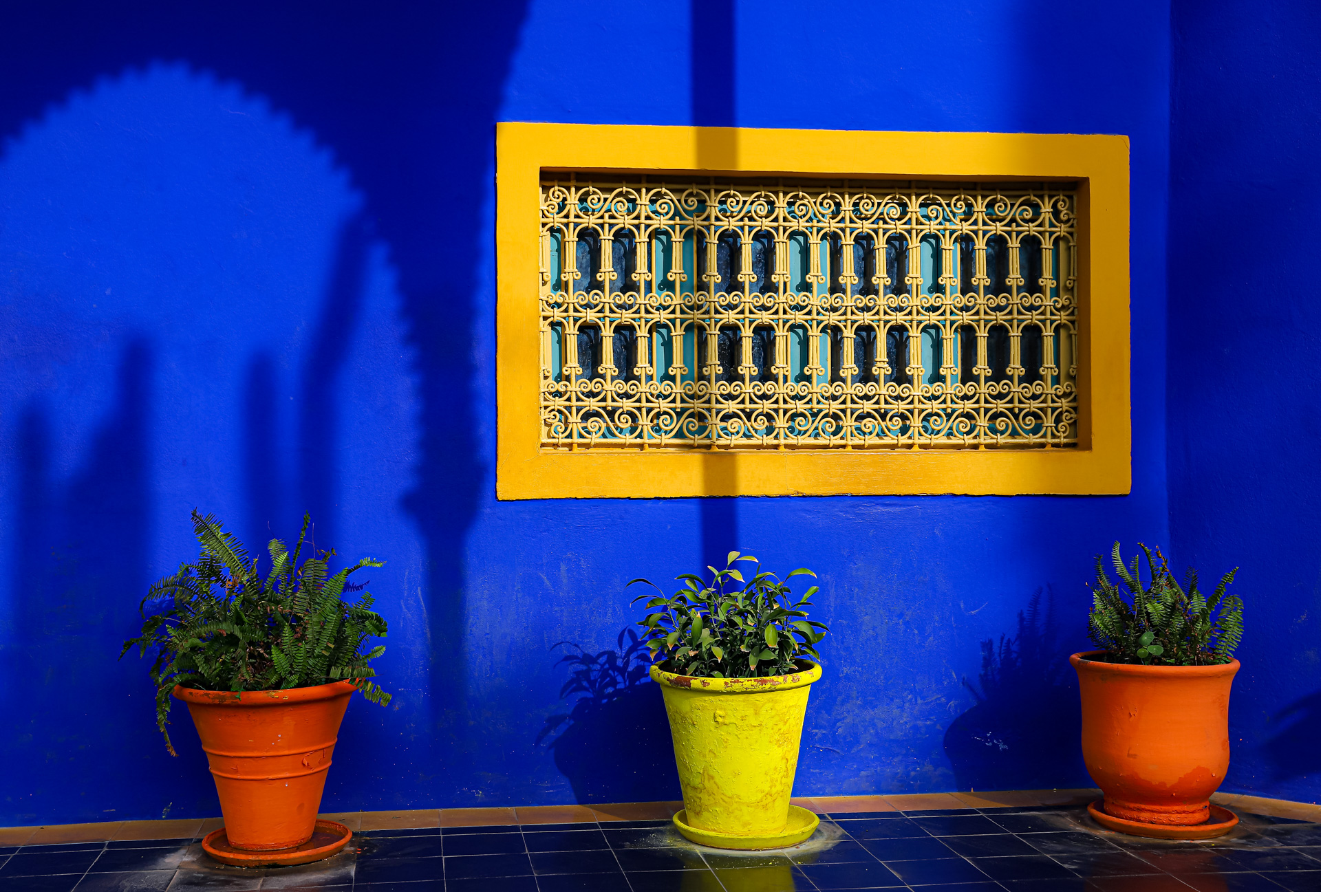 Marrakech – Jardins de Majorelle