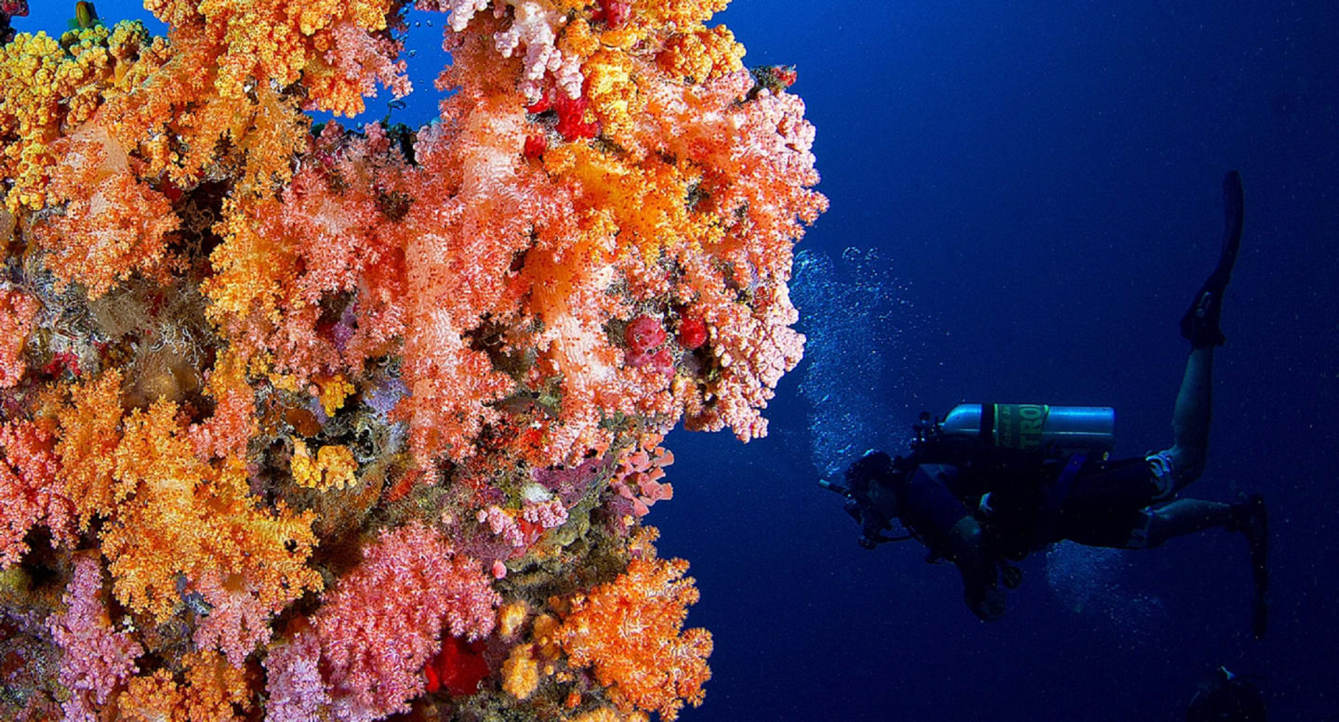 Mergulho 