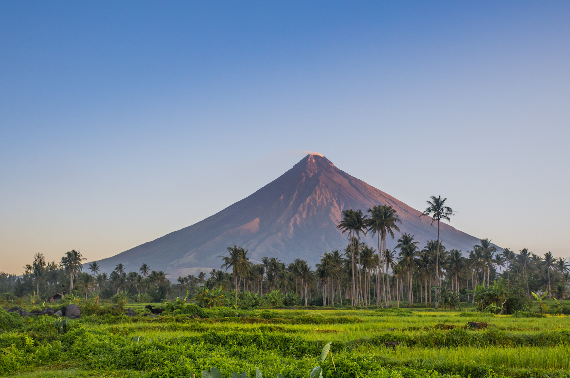 Monte Mayon Vulcão
