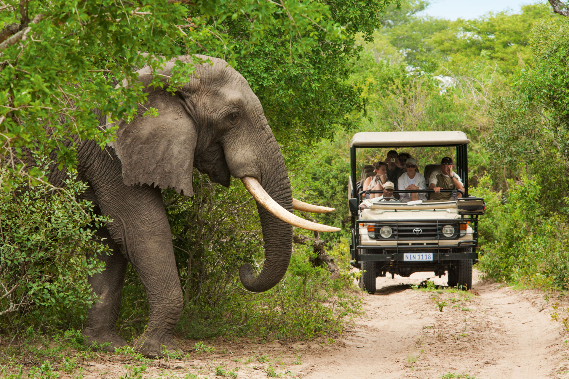 Parque Nacional de Addo