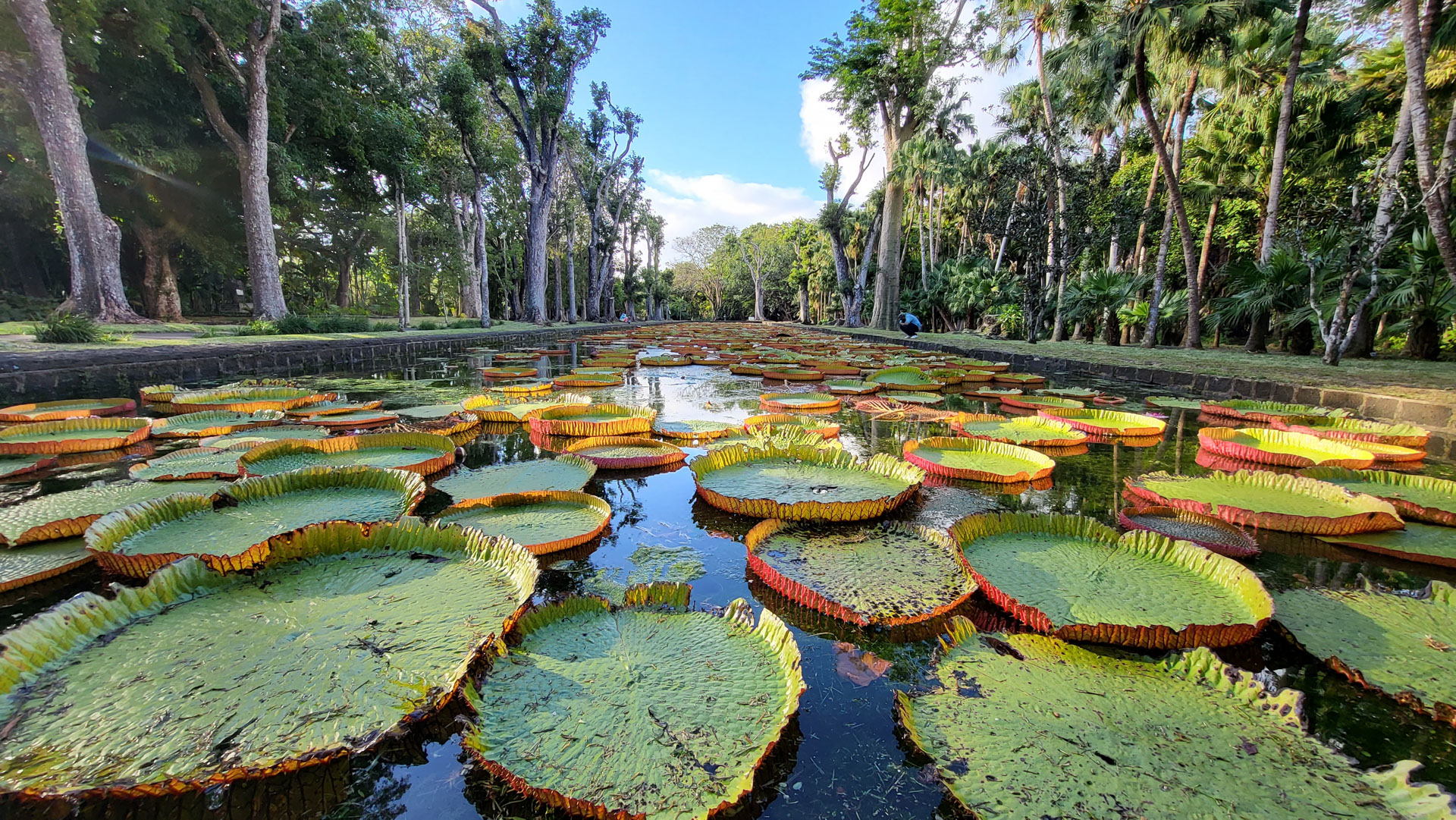 Port Louis - Jardim Botânico