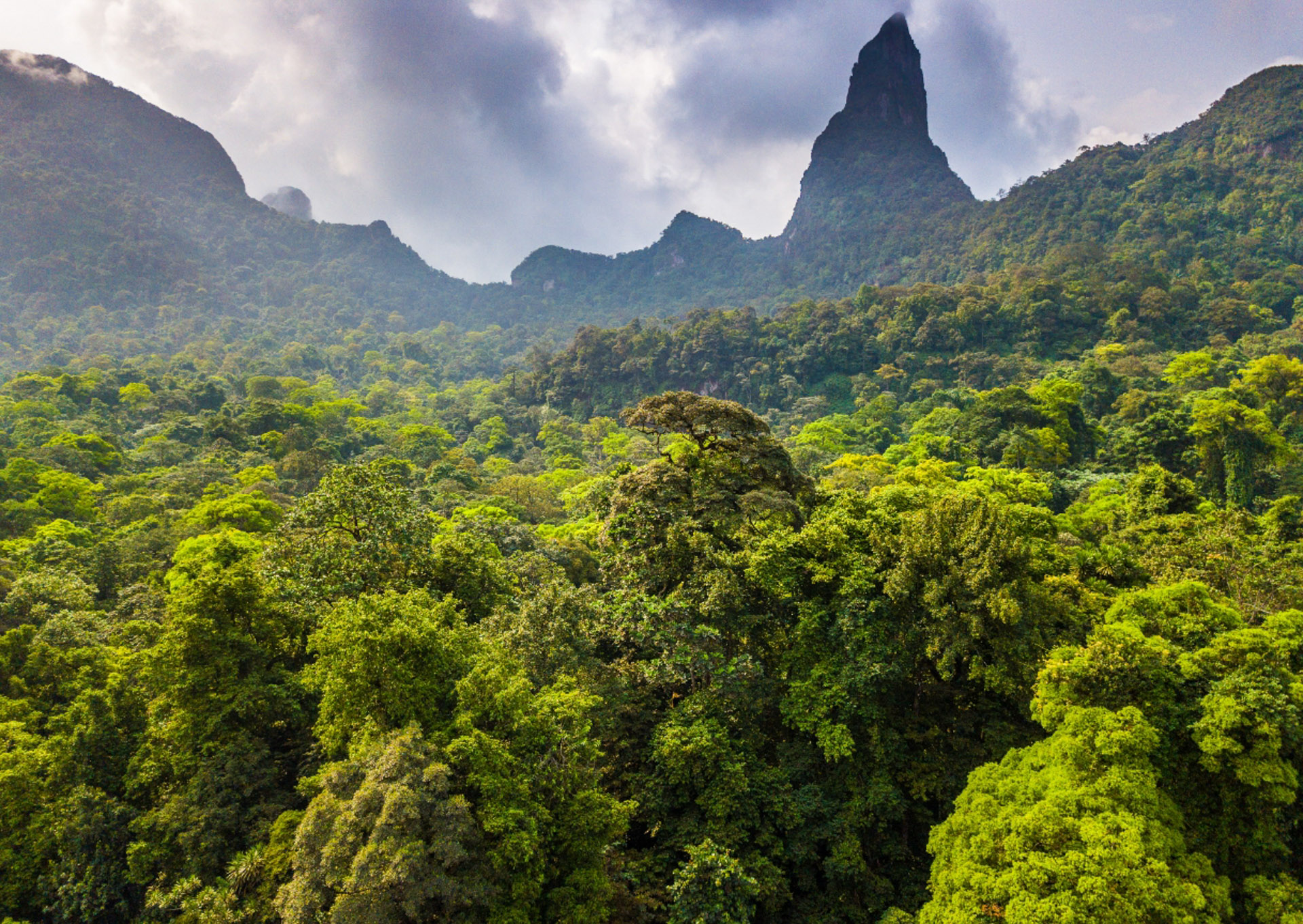 Reserva da Biosfera
