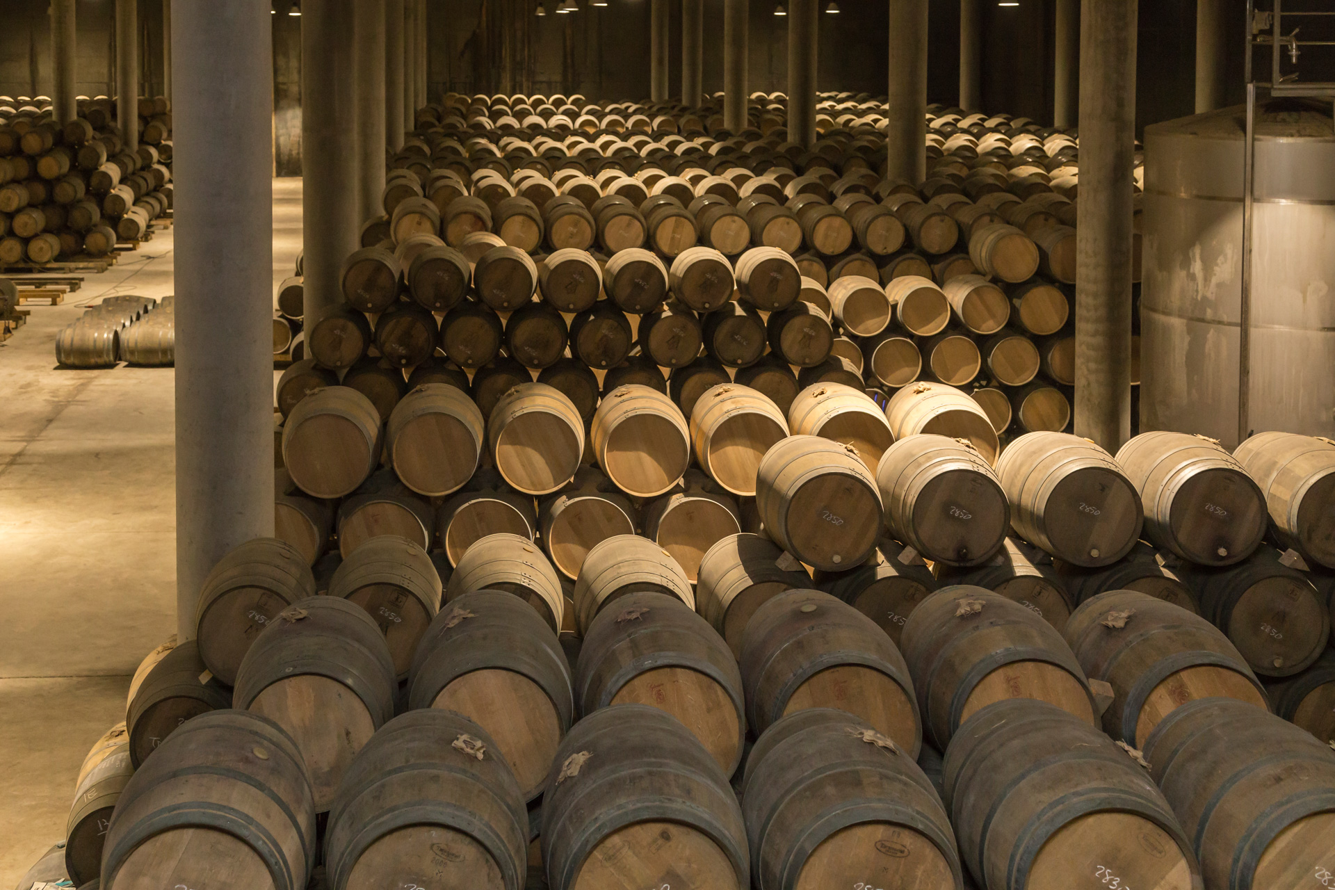 Rioja - Adega