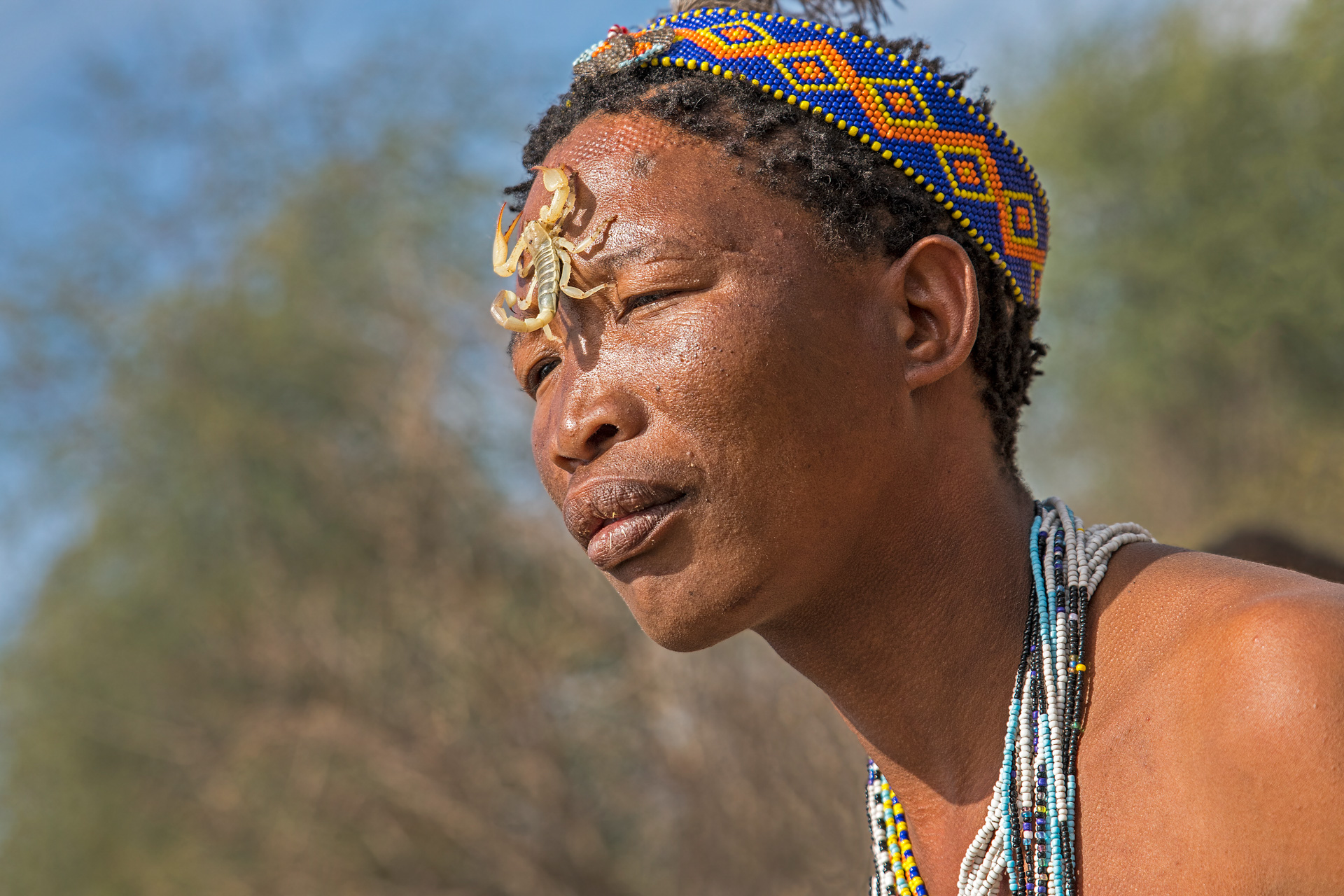 Tribo San Bushman