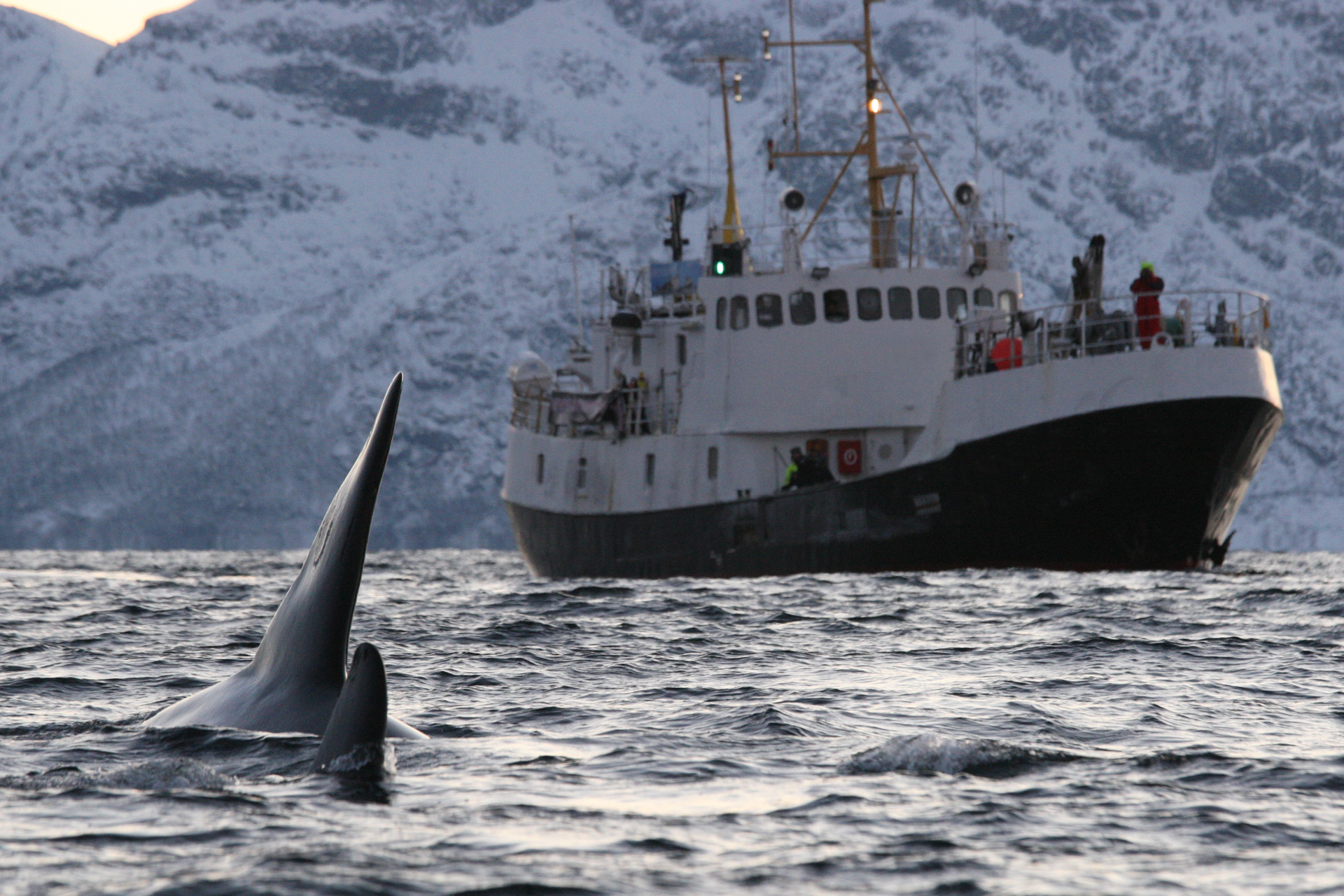 Tromso - Kaldfjord