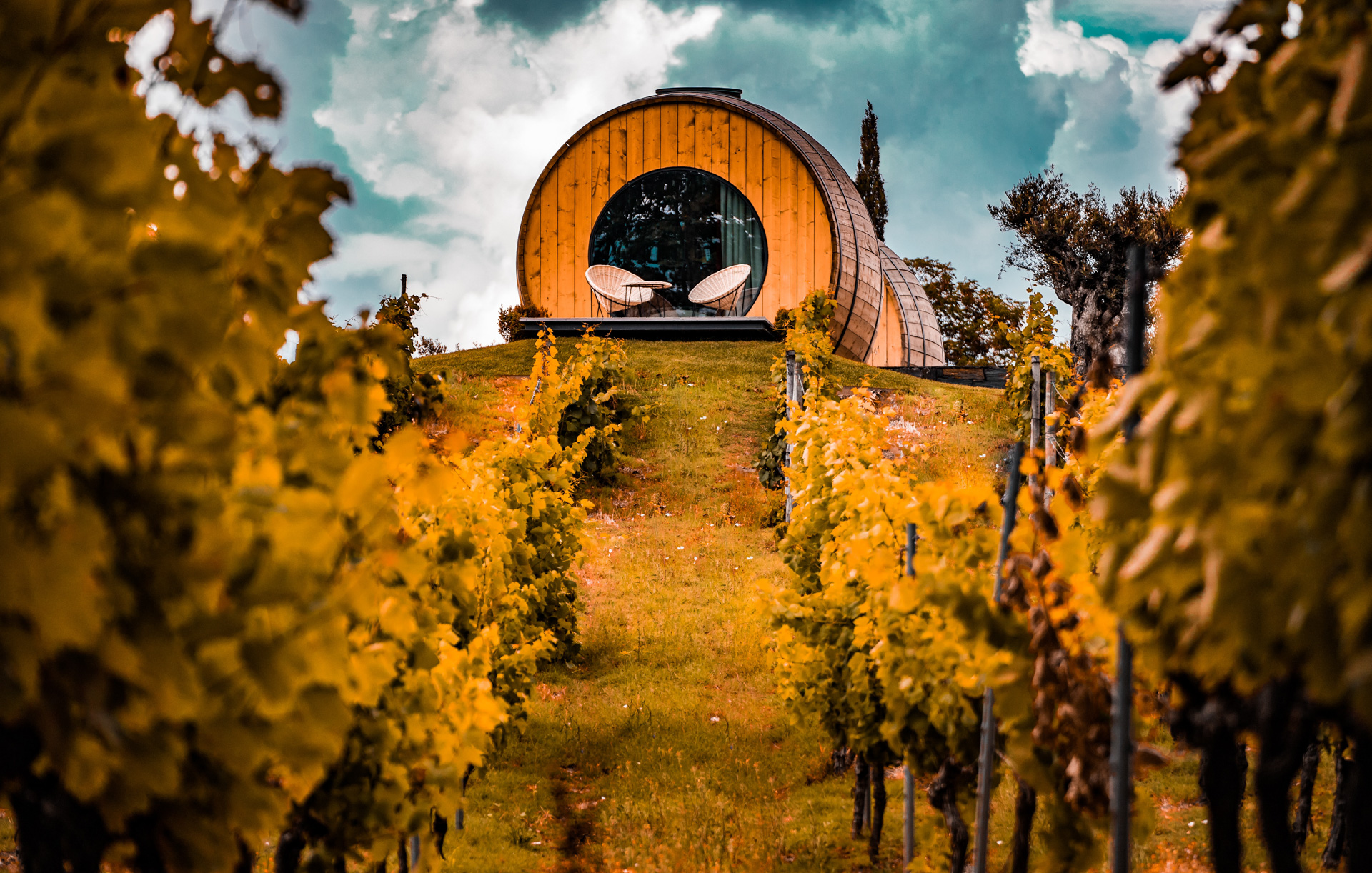 Vale do Douro