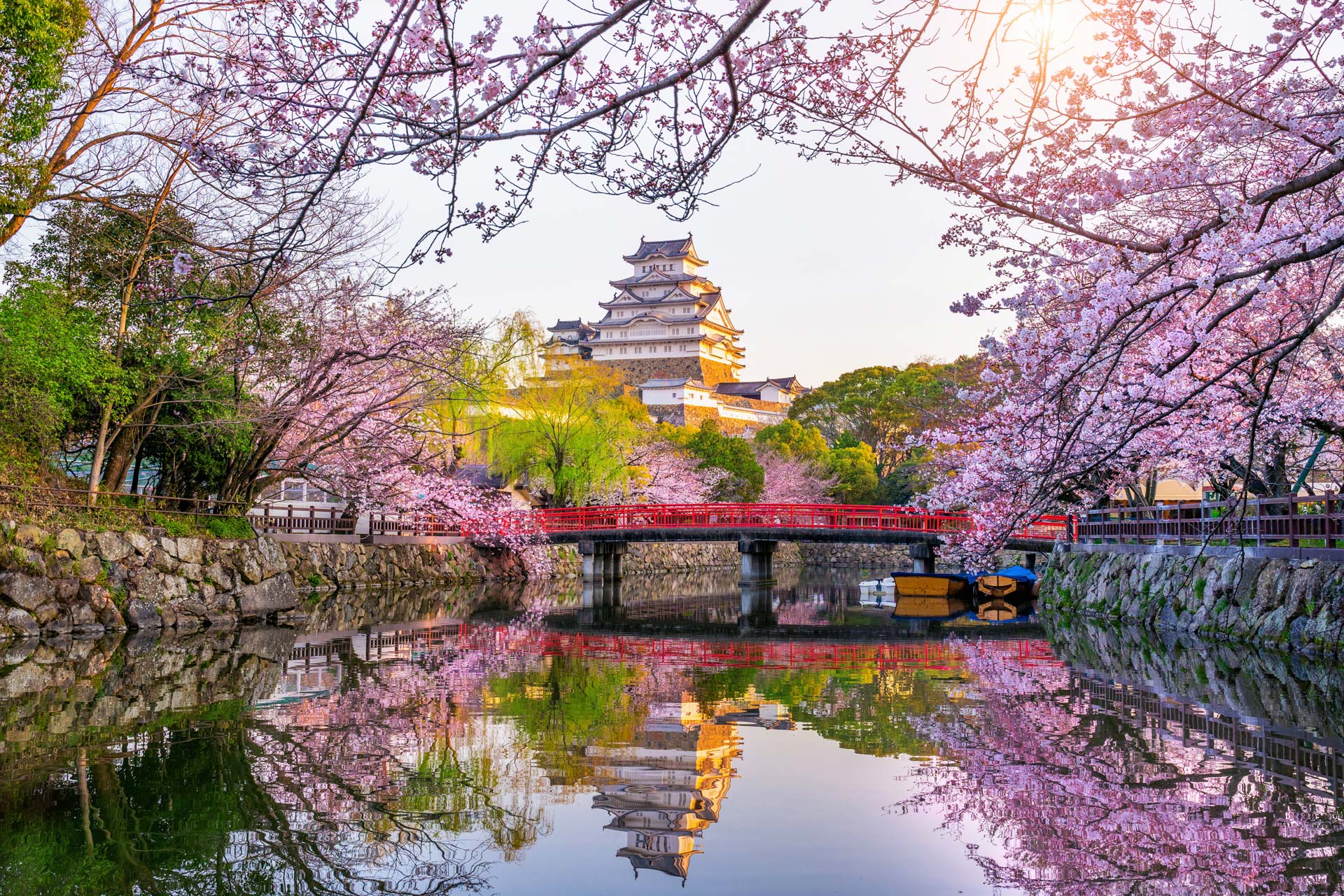 Japão